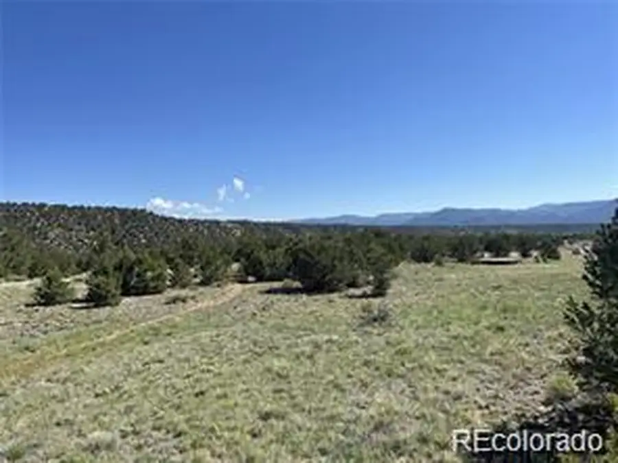 14973 Chalk Creek Dr, Nathrop, CO 81236 - Image #3