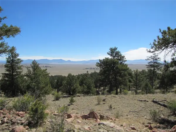 5085 Ouray Rd, Hartsel, CO 80449