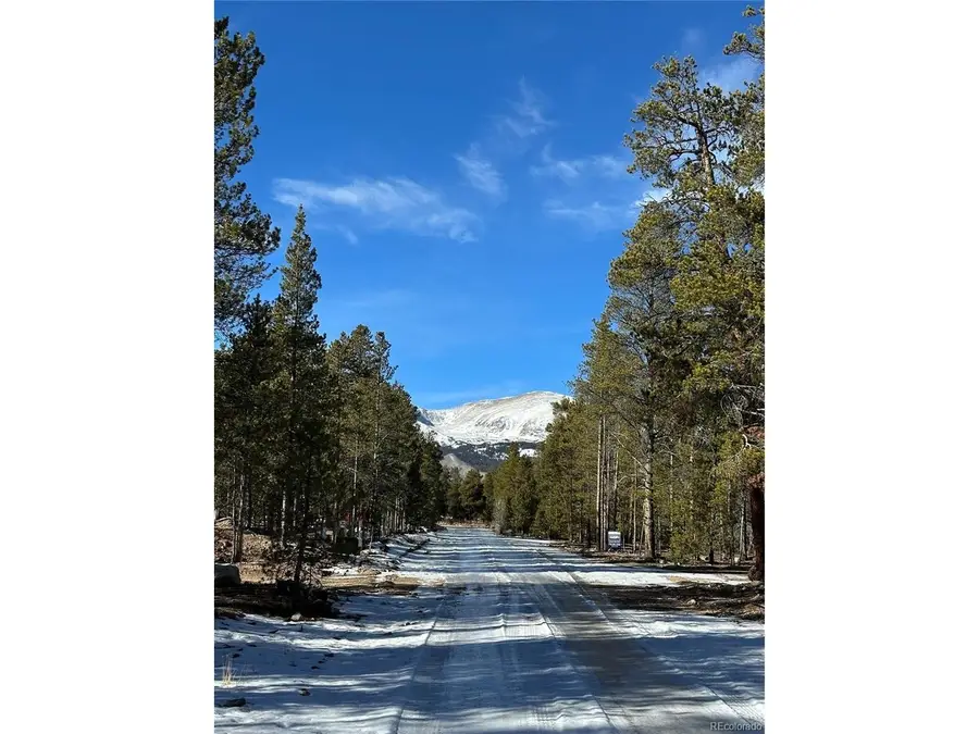 361 Fir Dr, Twin Lakes, CO 81251 - Image #3