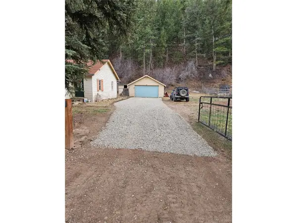 124 River Dr, Bailey, CO 80421