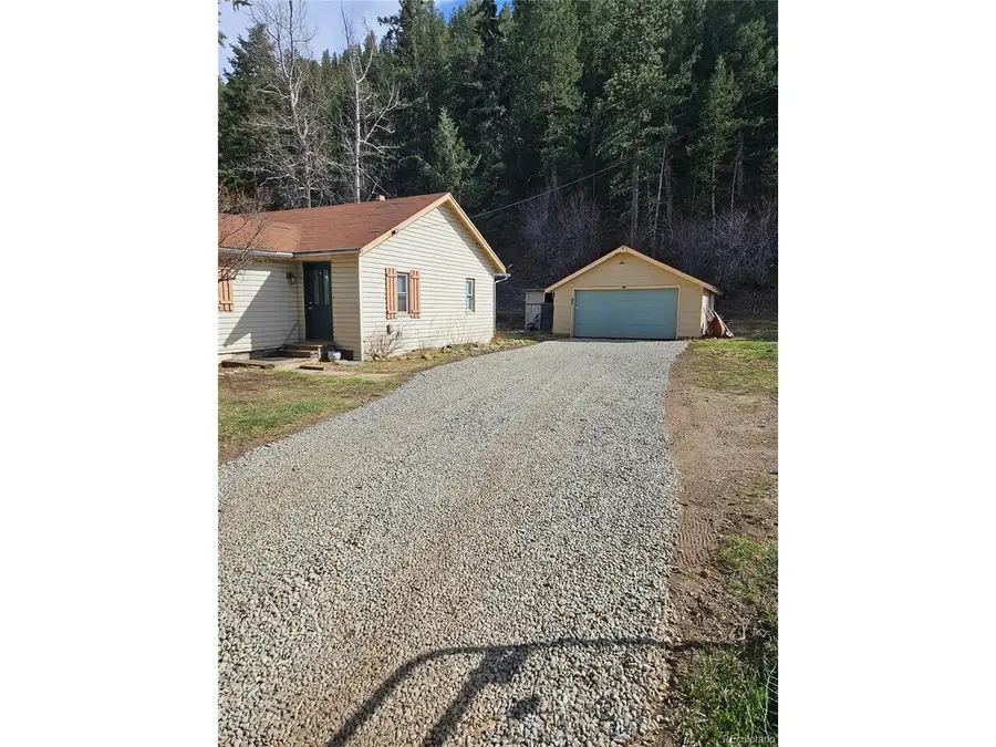 124 River Dr, Bailey, CO 80421 - #2