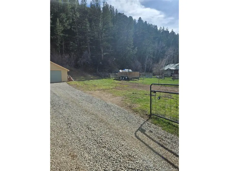 124 River Dr, Bailey, CO 80421 - #3