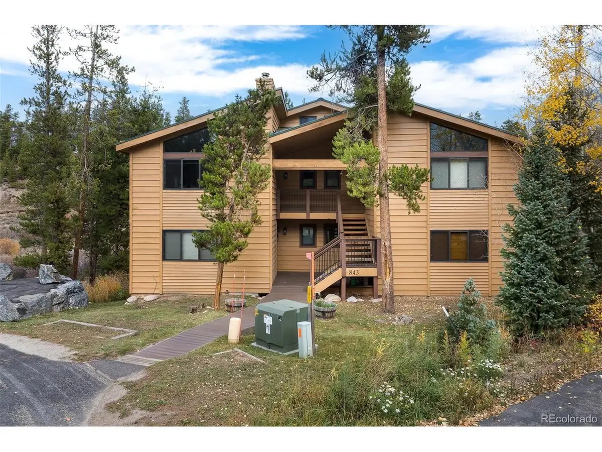 843 Badger Ln #C, Fraser, CO 80442 - #1