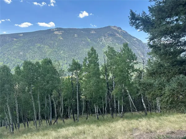 Calkins, Jasper, CO 81132