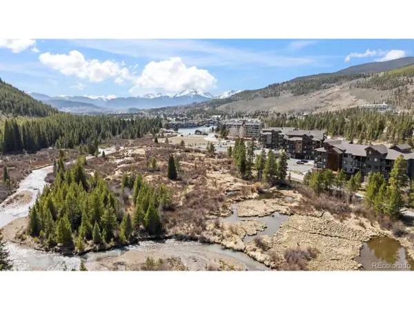 75 Clearwater Way #206, Dillon, CO 80435