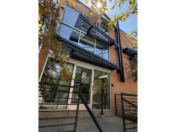 1032 N Clarkson St #208, Denver, CO 80218