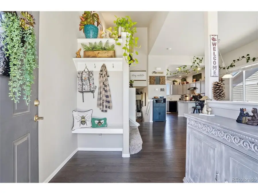 1068 Mt Oxford Ave, Windsor, CO 80550 - #3