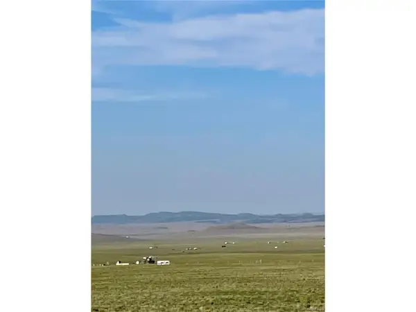 558 Garfield Rd, Hartsel, CO 80449