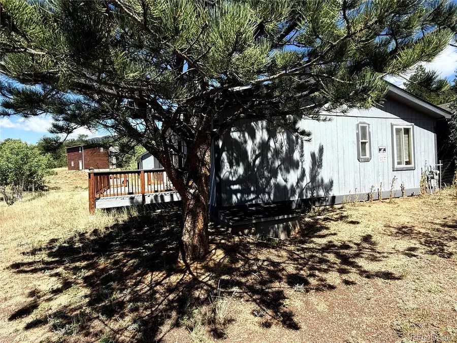364 Stage Coach Dr, Bailey, CO 80421 - #2