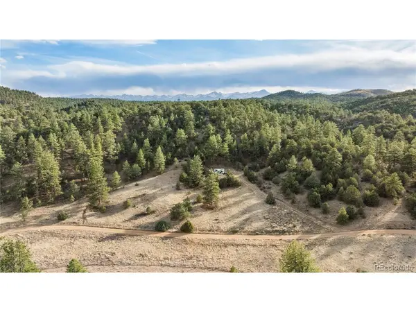 48 Alex Ct, Cotopaxi, CO 81223