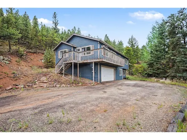 809 Roland Dr, Bailey, CO 80421