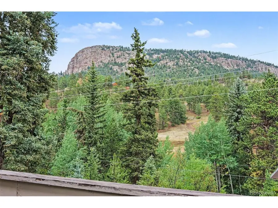 809 Roland Dr, Bailey, CO 80421 - #2