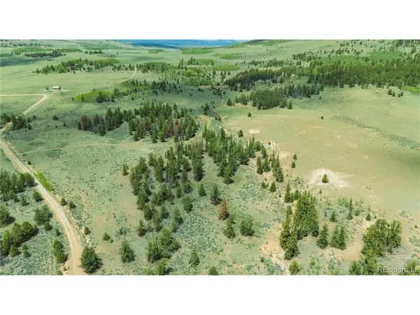 2662 Willow Creek Ln, Fairplay, CO 80440