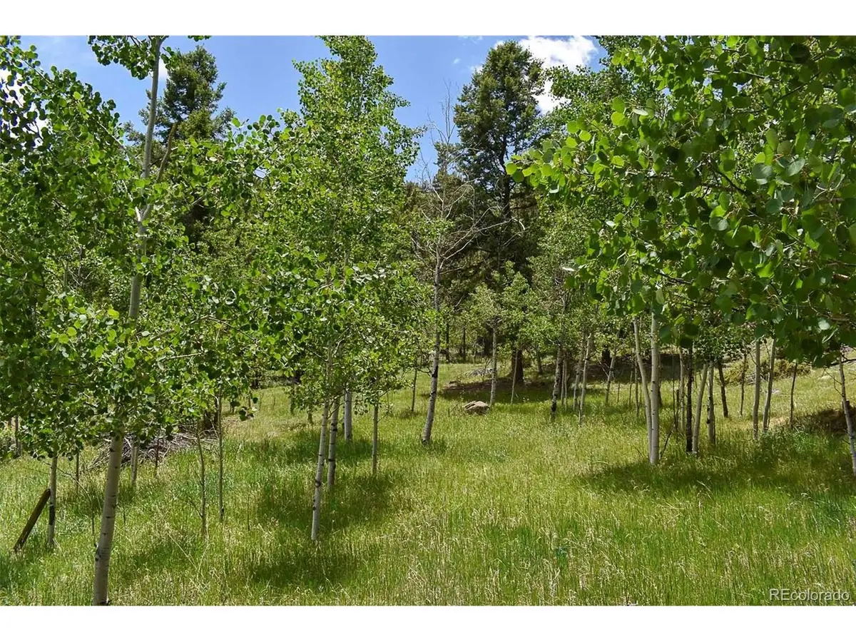 281 Deer Ln, Guffey, CO 80820 - #1