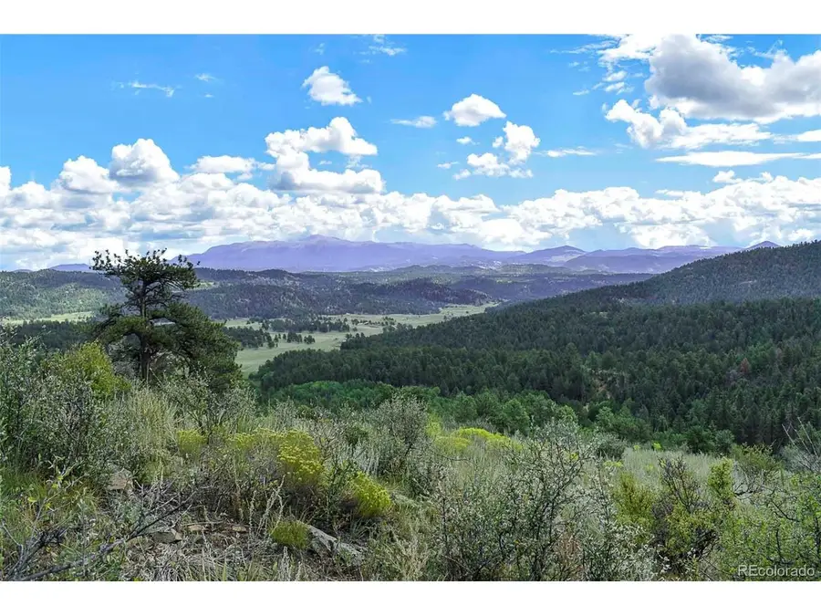 281 Deer Ln, Guffey, CO 80820 - #2