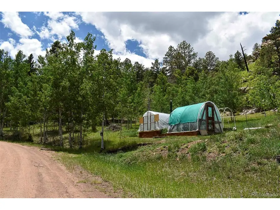 281 Deer Ln, Guffey, CO 80820 - #3