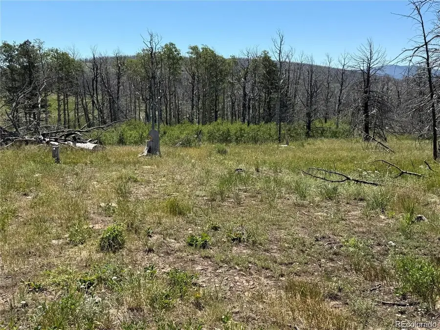 416 Spangle Dr, Fort Garland, CO 81133 - #3