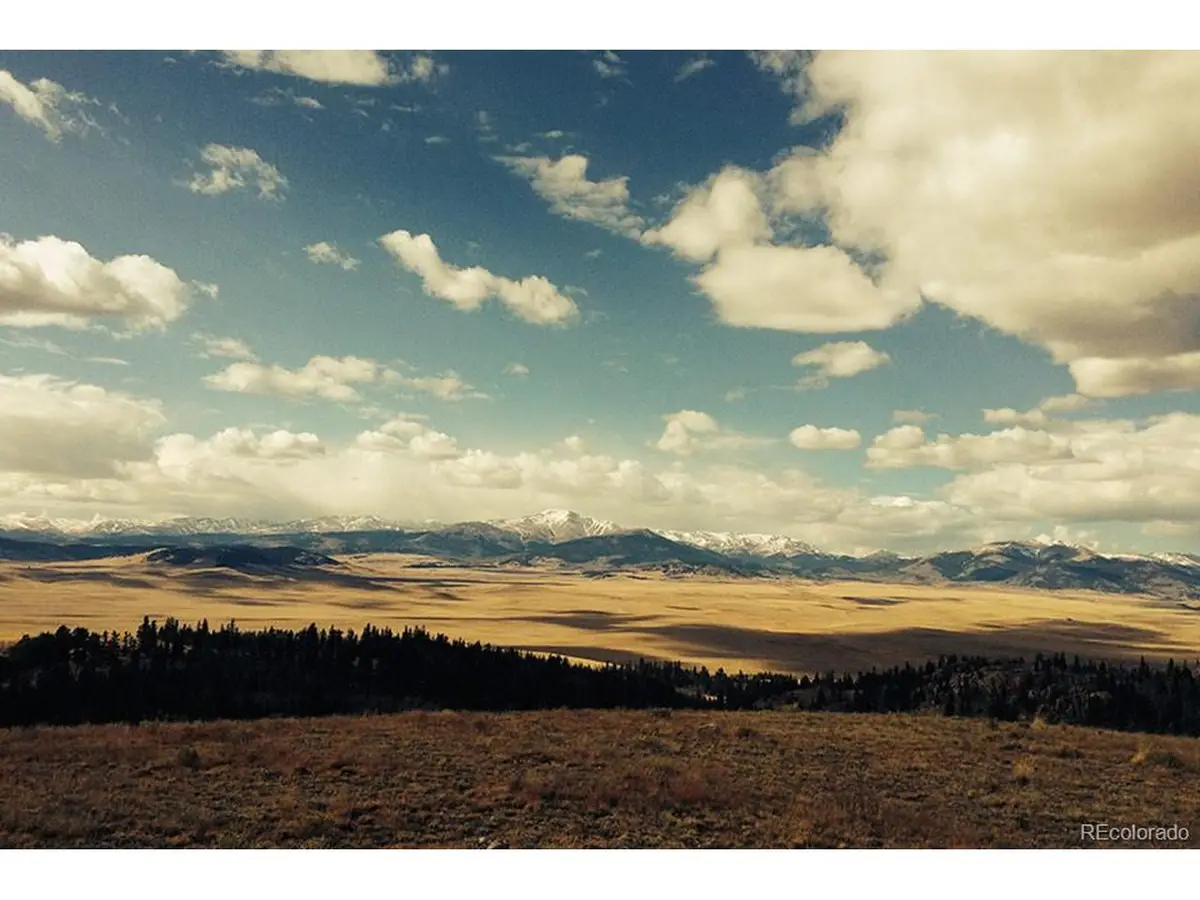 1185 County Road 734, Fairplay, CO 80440 - #1