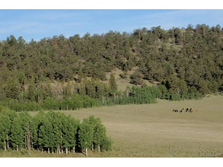1185 County Road 734, Fairplay, CO 80440 - #2