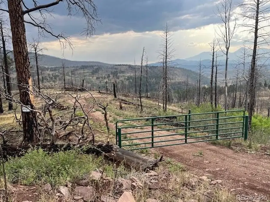 369 Powers Rd, Fort Garland, CO 81133 - #3