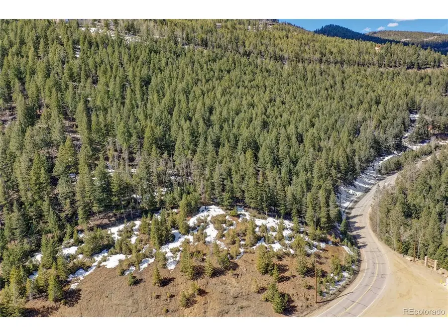 0 Saddleback, Evergreen, CO 80439 - #3