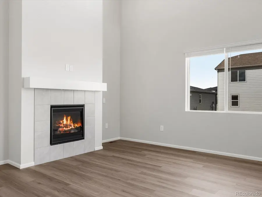 1611 Nathan River Dr, Windsor, CO 80550 - #3