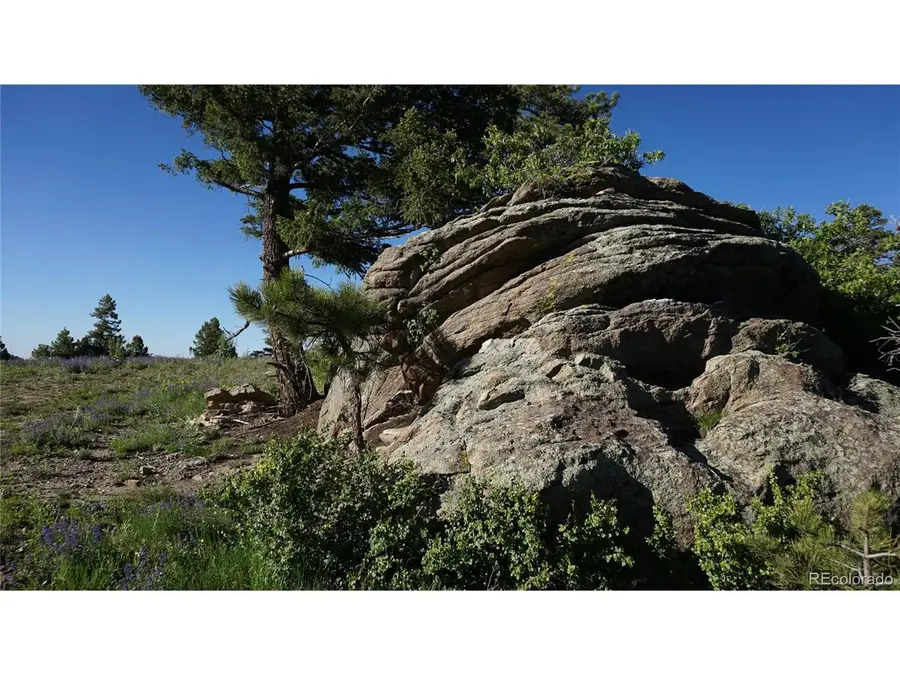 13864 N Trail Cir, Littleton, CO 80127 - #2