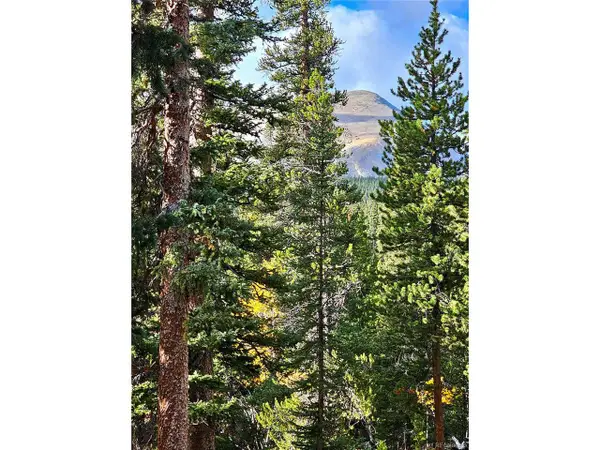 102 Gold Trl, Fairplay, CO 80440