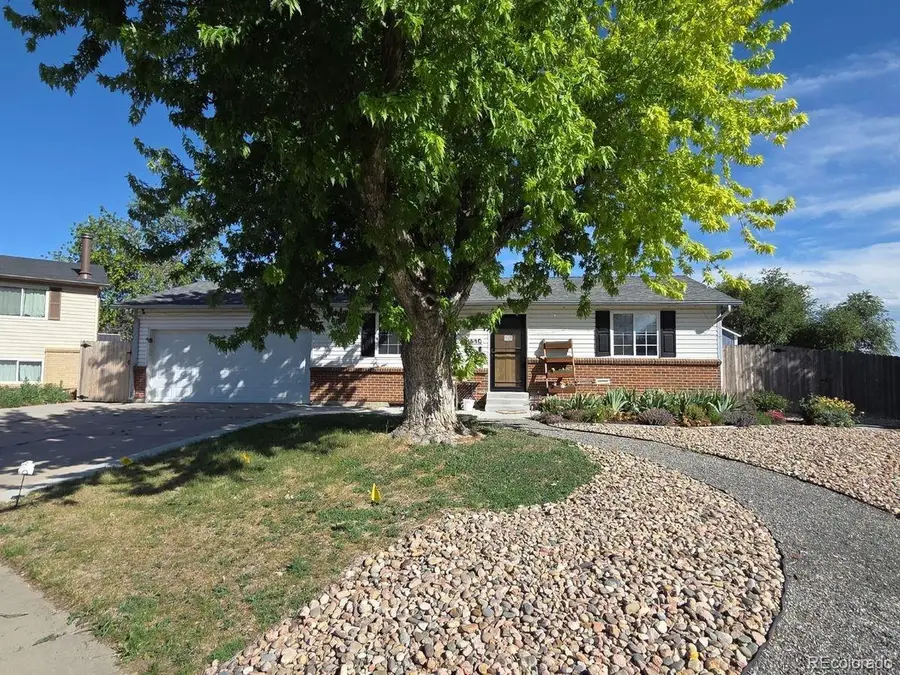 11410 Madison St, Thornton, CO 80233 - #3