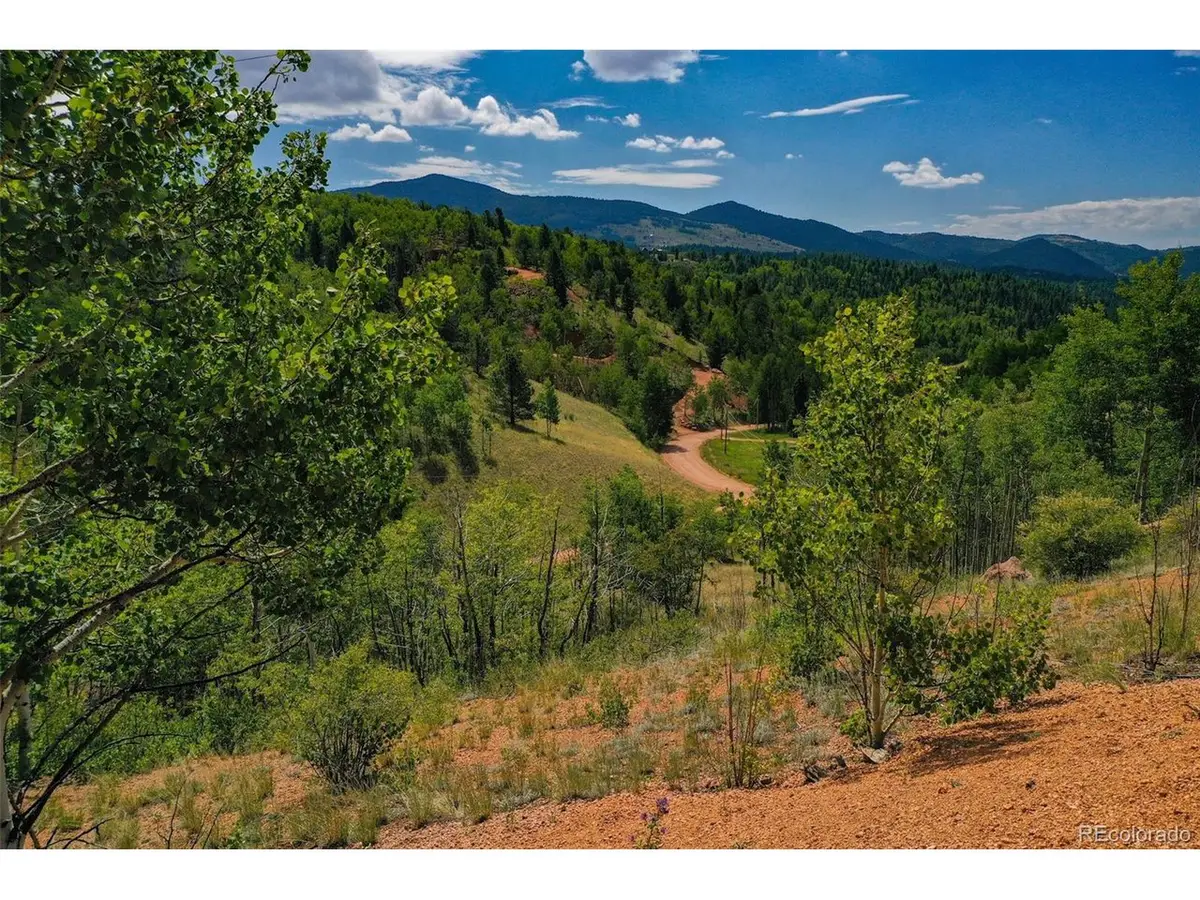 1300 Golden Cycle Cir, Cripple Creek, CO 80813 - #1