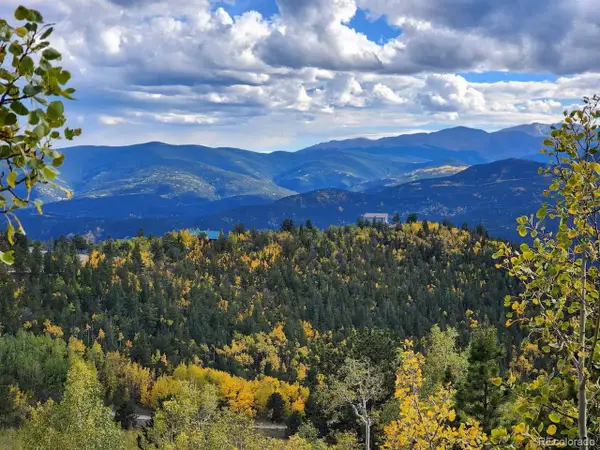 400 Alpine Way, Idaho Springs, CO 80452