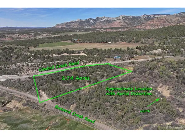 58450 Buzzard Creek Rd, Collbran, CO 81624