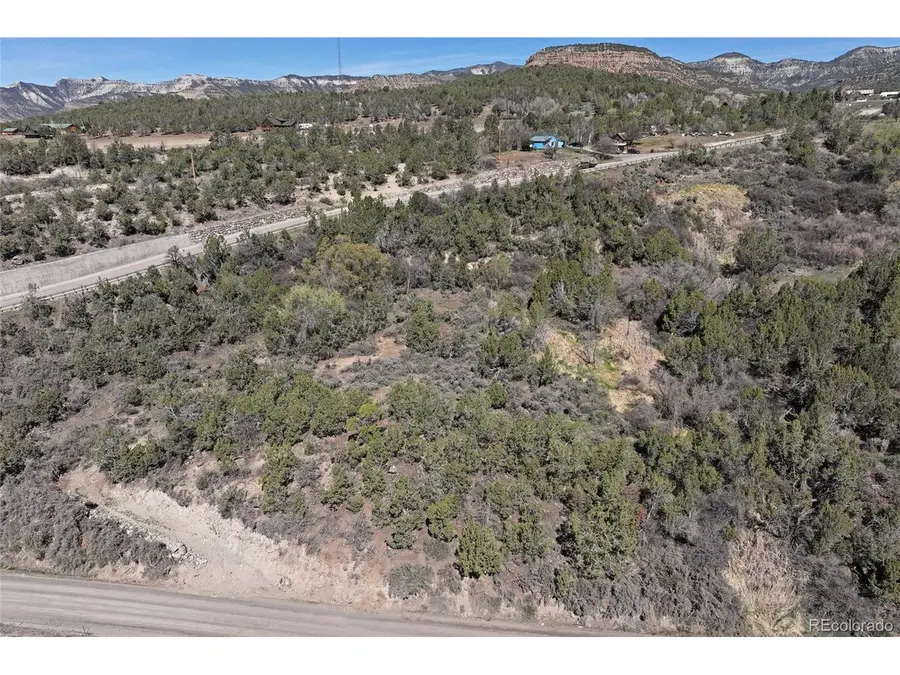 58450 Buzzard Creek Rd, Collbran, CO 81624 - #3
