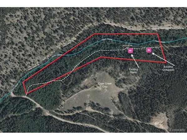 3257 Trail Creek Rd, Idaho Springs, CO 80452