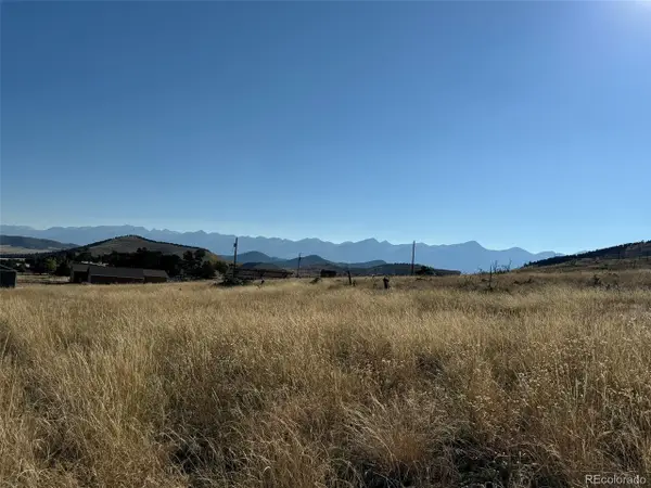 50 Copper Gultch Road, Cotopaxi, CO 81223