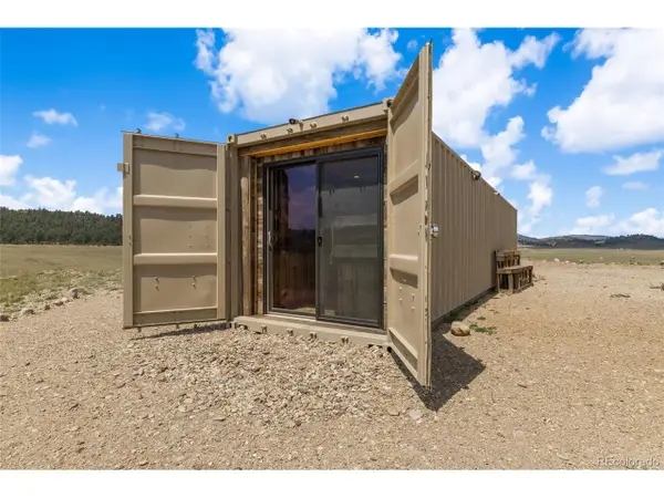 779 S Margaret Pl, Hartsel, CO 80449