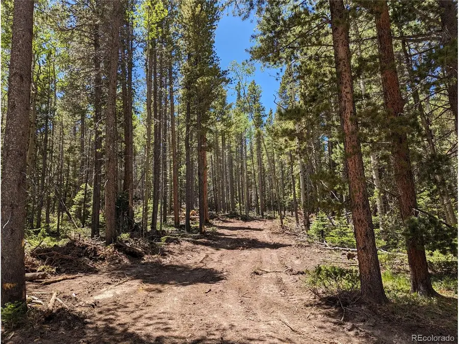 2905 Forbes Park Loop, Fort Garland, CO 81133 - #3