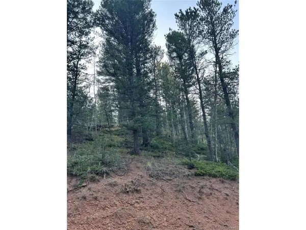 83 Sodalite Dr, Divide, CO 80814