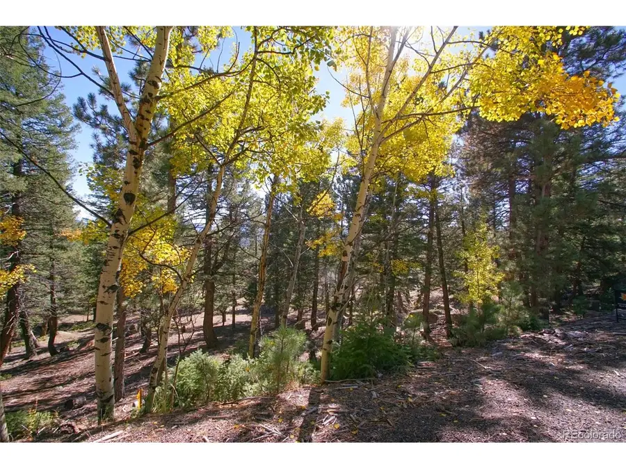 30402 Kings E Vly, Conifer, CO 80433 - #2
