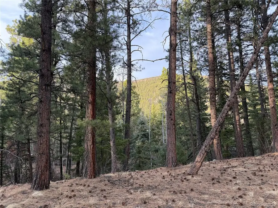 121 E Coach Dr, Antonito, CO 81120 - #2