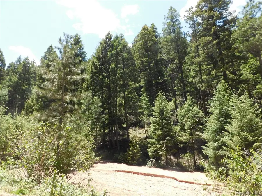 13175 Spruce Creek Cir, Larkspur, CO 80118 - #3