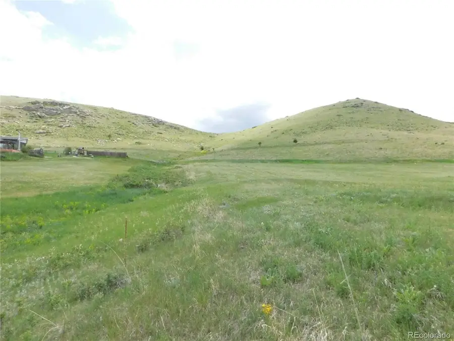 11972 Haskel Creek Rd, Larkspur, CO 80118 - #3