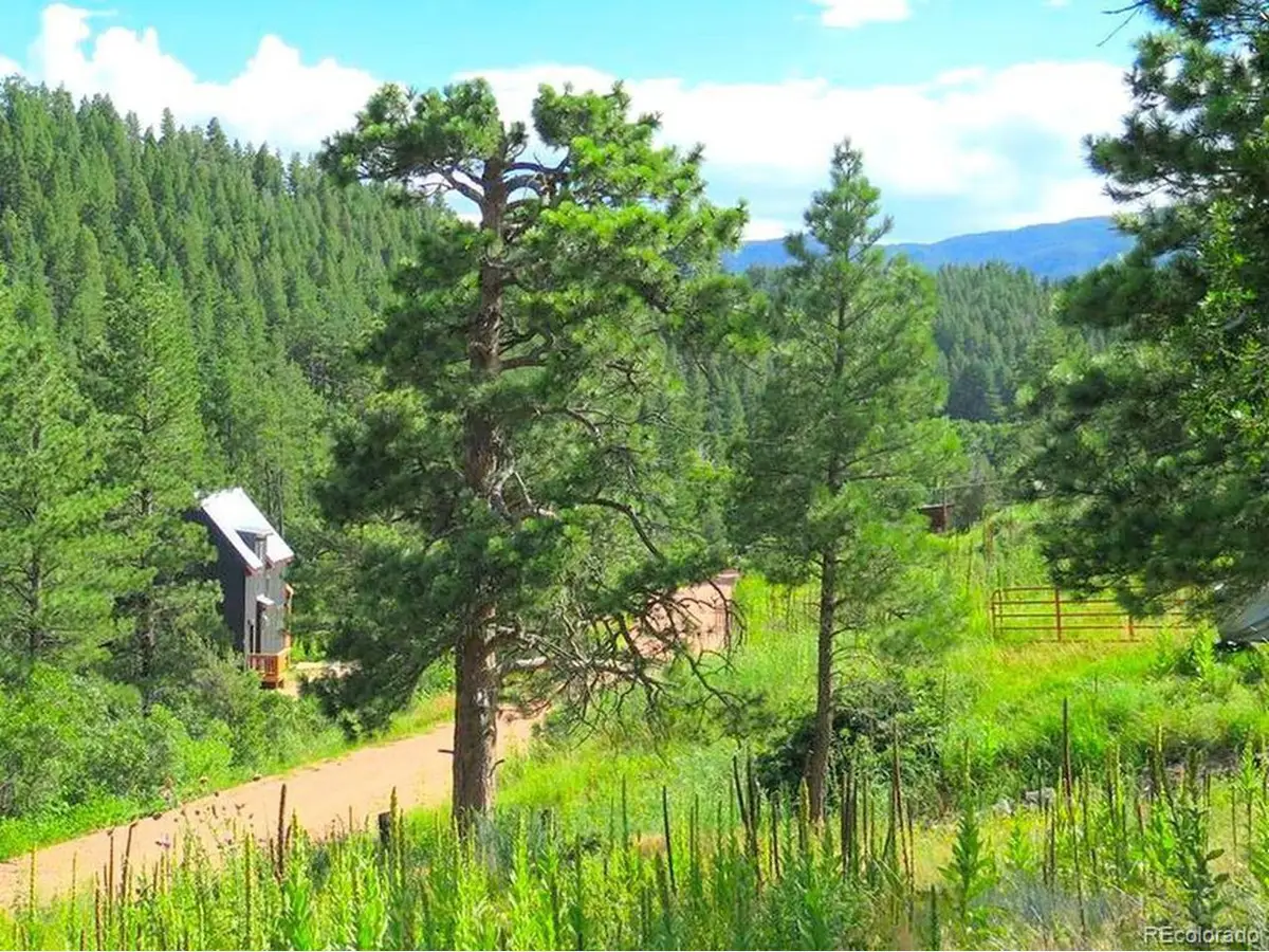 Vine Mesa Ave, Beulah, CO 81023 - Image #1