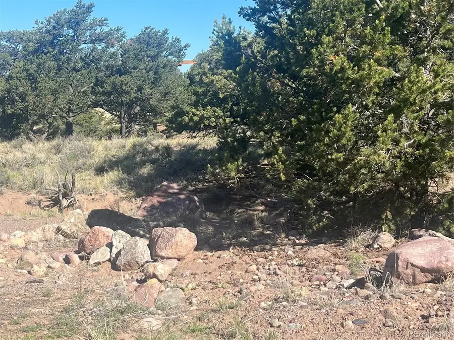 286 Palomino Way, Crestone, CO 81131 - #3