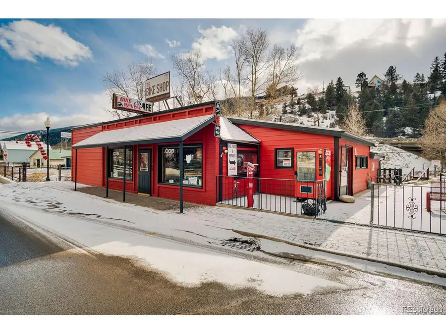 1743 Miner St, Idaho Springs, CO 80452 - #3
