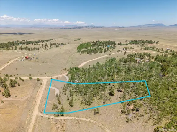 40 Brahma Ct, Hartsel, CO 80449