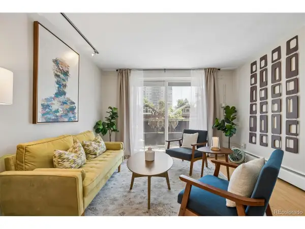 271 N Grant St #202, Denver, CO 80203