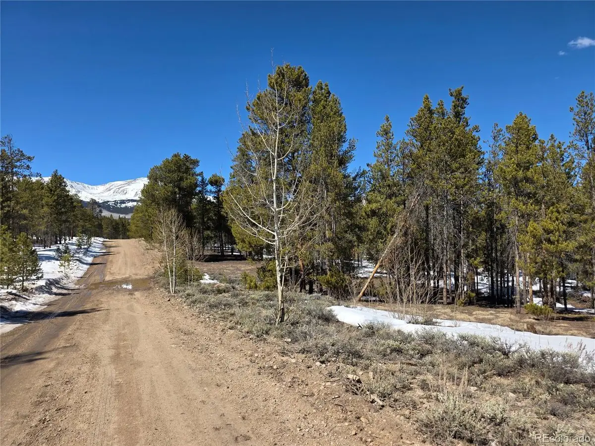 Lots 20 & 29, Twin Lakes, CO 81251 - #1