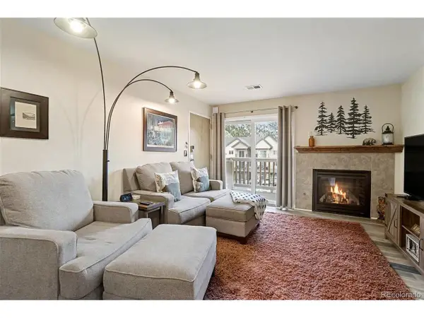 1890 Argentine St #D304, Georgetown, CO 80444