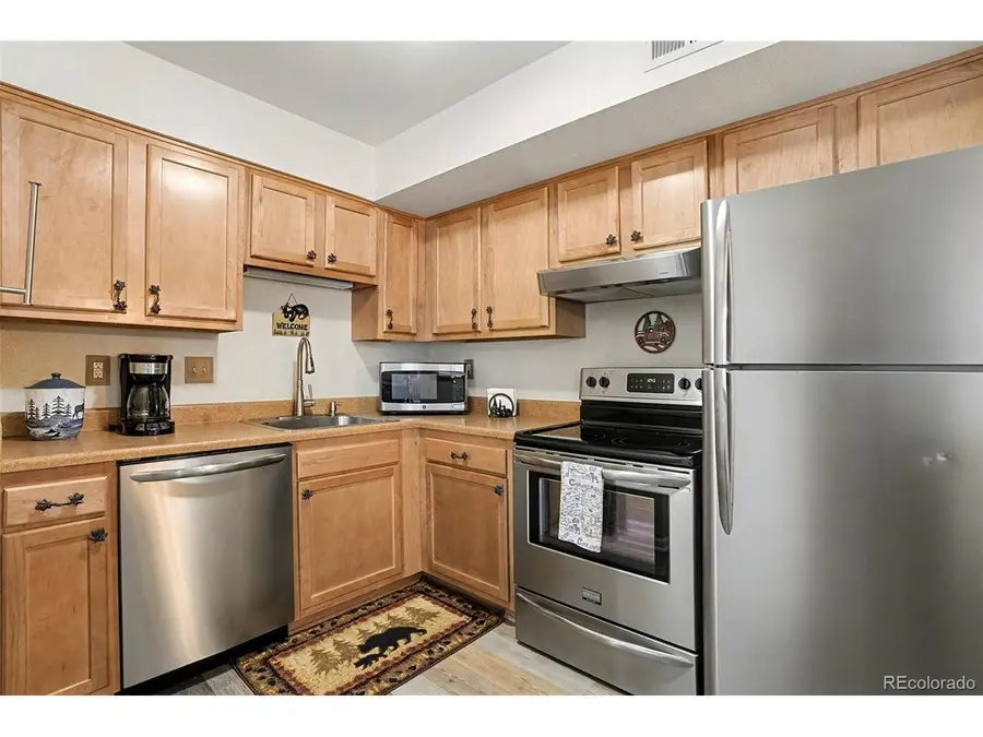 1890 Argentine St #D304, Georgetown, CO 80444 - #2
